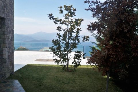 Studio Villa in Central Greece, Greece No. 50548 12