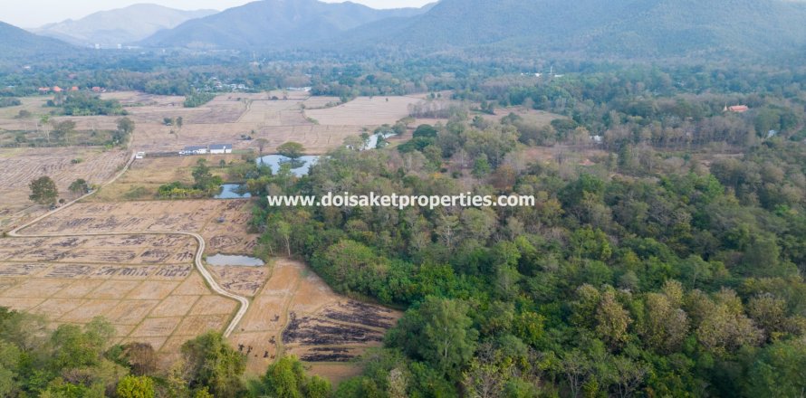 20 bedrooms Land in Chiang Mai, Thailand No. 1523