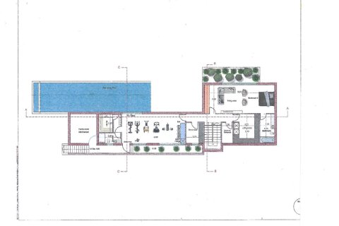 Вилла с 4 спальнями в Пафос, Кипр №37772 12