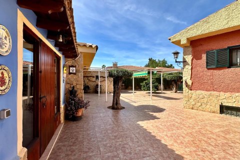 5 dormitorios Apartment en San Vicente del Raspeig, Spain No. 27642 14