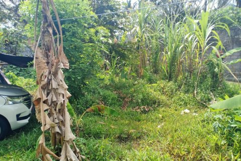 Land à Ubud, Indonesia No. 23315 7