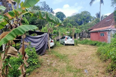 Land à Ubud, Indonesia No. 23315 1