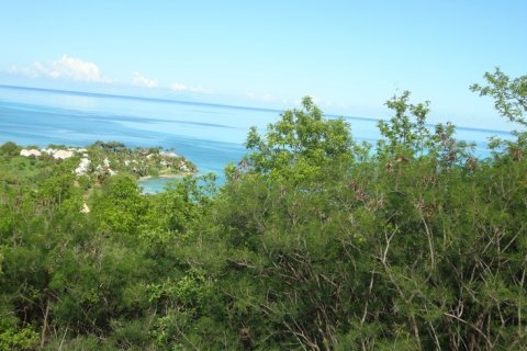 2023m² Land in Jolly Harbour, Antigua and Barbuda No. 61356 5