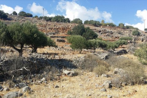 5779m² Land en Agios Nikolaos, Greece No. 58996 2