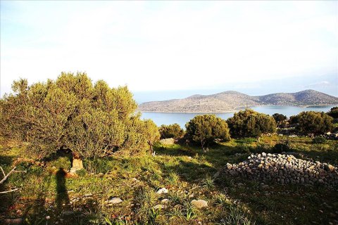 5779m² Land en Agios Nikolaos, Greece No. 58996 3