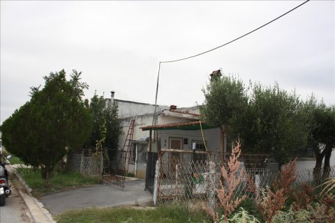 3812m² Land en Polichni, Greece No. 58986 4