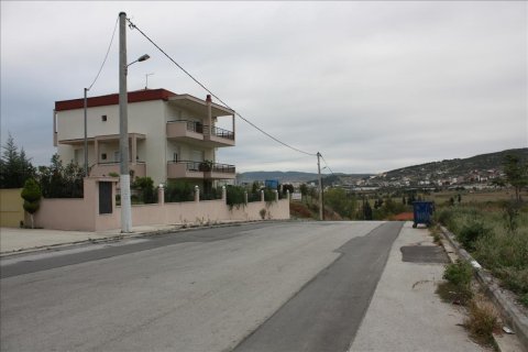 3812m² Land à Polichni, Greece No. 58986 5