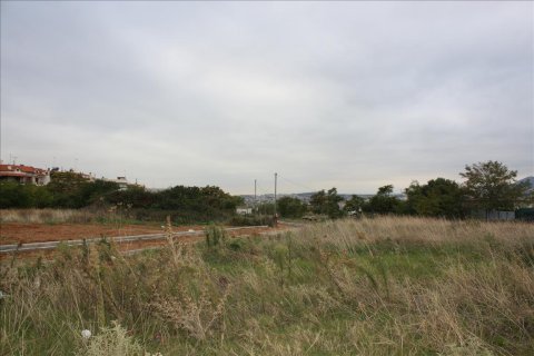 3812m² Land à Polichni, Greece No. 58986 6