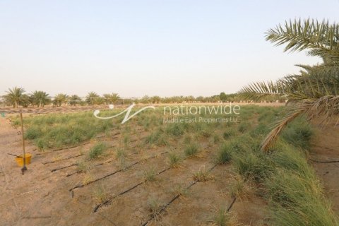 1963.8m² Land in Mohamed Bin Zayed City, UAE No. 3454 7