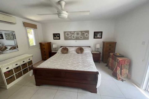 4 bedrooms Villa in Pegeia, Cyprus No. 63547 12