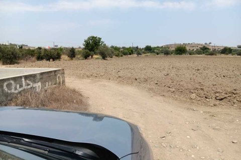 13323m² Land à Nisou, Cyprus No. 36023 9