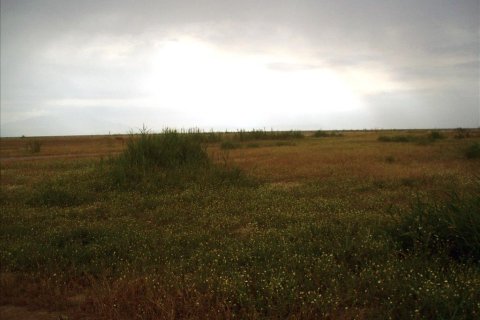 10000m² Land in Thessaloniki, Greece No. 59914 2