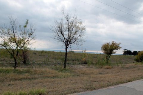 4000m² Land en Chalkidiki, Greece No. 60058 2