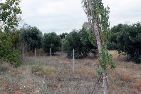 4000m² Land in Chalkidiki, Greece No. 60058 7