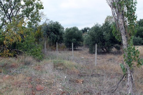 4000m² Land en Chalkidiki, Greece No. 60058 6