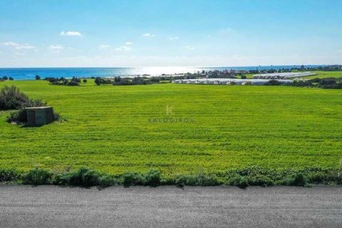 26757m² Land à Maroni, Cyprus No. 45231 6