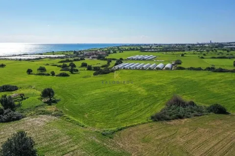 26757m² Land in Maroni, Cyprus No. 45231 5