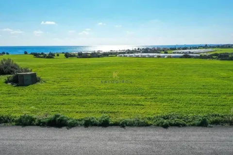 26757m² Land en Maroni, Cyprus No. 45231 6