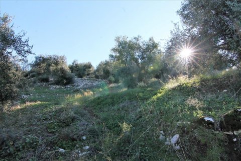 41000m² Land in Corfu, Greece No. 57767 10