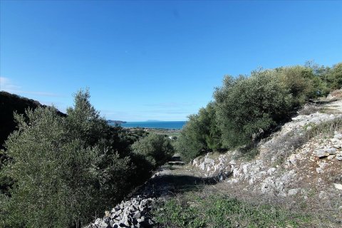 41000m² Land à Corfu, Greece No. 57767 28