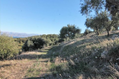 41000m² Land en Corfu, Greece No. 57767 13