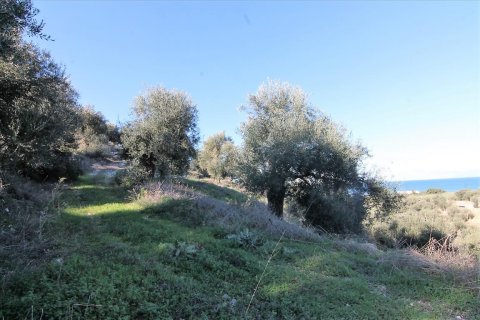 41000m² Land en Corfu, Greece No. 57767 8