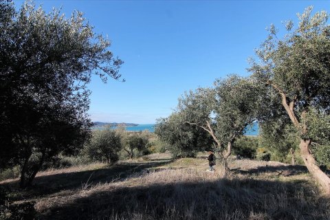 41000m² Land à Corfu, Greece No. 57767 20