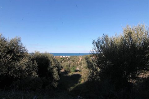 41000m² Land en Corfu, Greece No. 57767 2