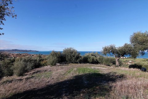 41000m² Land en Corfu, Greece No. 57767 17