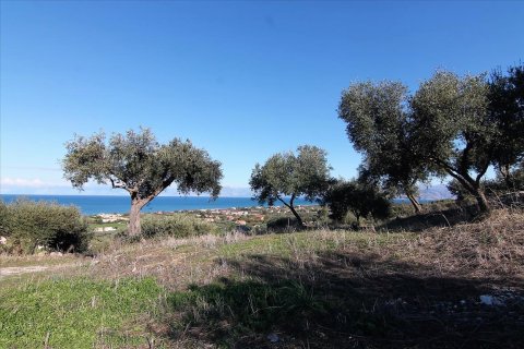 41000m² Land in Corfu, Greece No. 57767 15