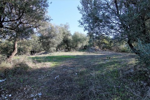 41000m² Land en Corfu, Greece No. 57767 29