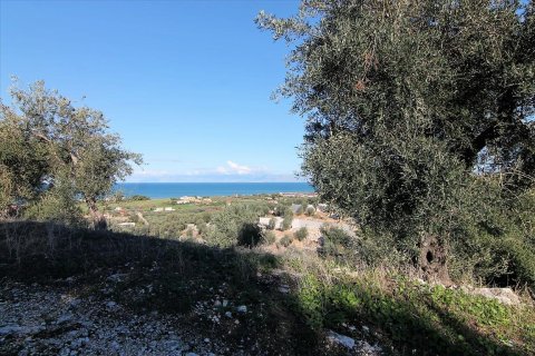 41000m² Land en Corfu, Greece No. 57767 1