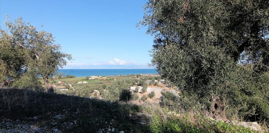 41000m² Land en Corfu, Greece No. 57767