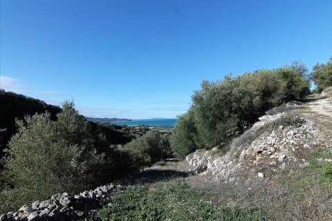 41000m² Land en Corfu, Greece No. 57767 27