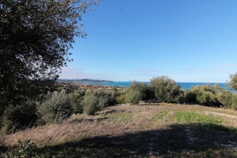 41000m² Land en Corfu, Greece No. 57767 16