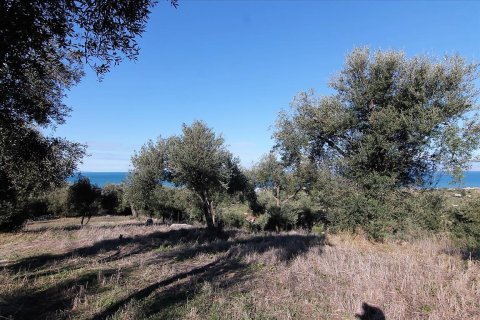 41000m² Land en Corfu, Greece No. 57767 18