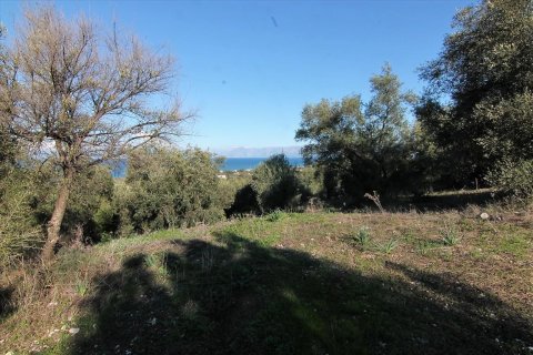 41000m² Land in Corfu, Greece No. 57767 30