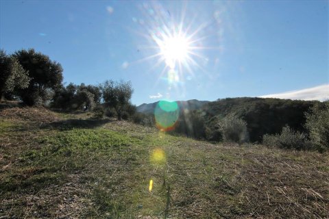 41000m² Land in Corfu, Greece No. 57767 3