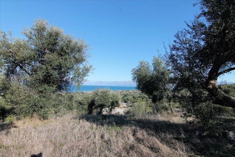 41000m² Land en Corfu, Greece No. 57767 19