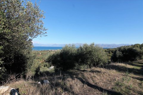 41000m² Land à Corfu, Greece No. 57767 4