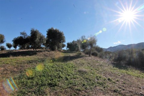 41000m² Land en Corfu, Greece No. 57767 14