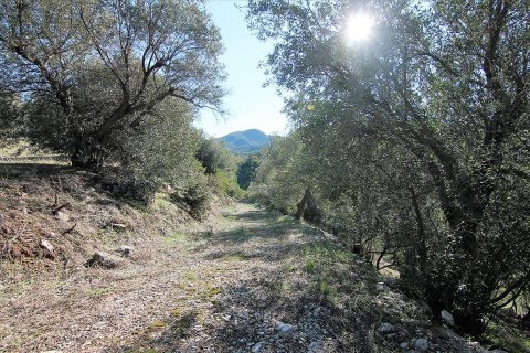 41000m² Land in Corfu, Greece No. 57767 25