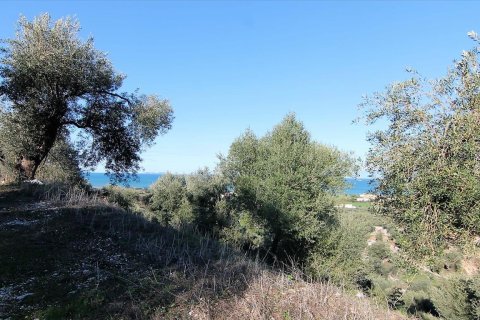 41000m² Land in Corfu, Greece No. 57767 12