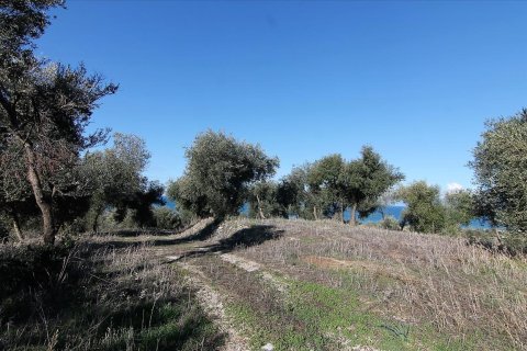 41000m² Land en Corfu, Greece No. 57767 24