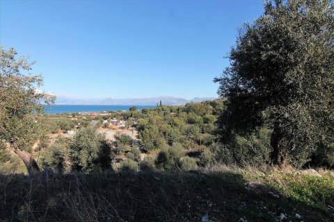 41000m² Land in Corfu, Greece No. 57767 5