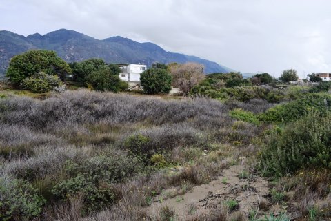 4089m² Land in Chania, Greece No. 57770 3