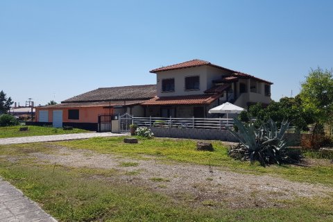 510m² Affaires à Chalkidiki, Greece No. 57766 3