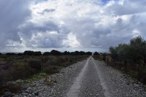 89000m² Land in Chania, Greece No. 57771 6