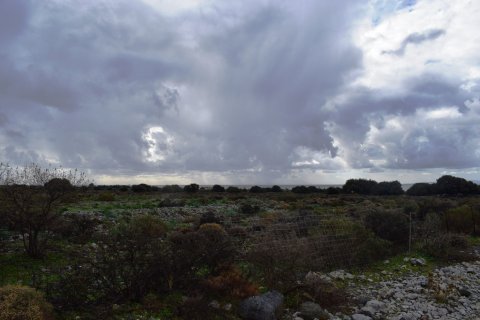 89000m² Land en Chania, Greece No. 57771 16