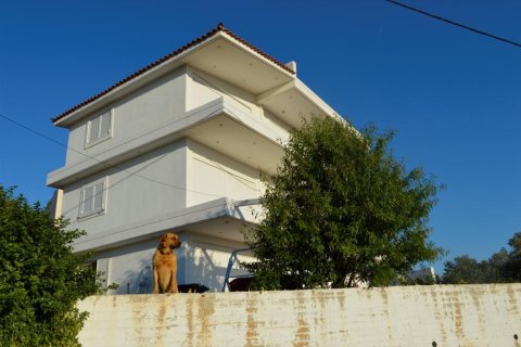 6 chambres House à Palaia Fokaia, Greece No. 58675 1